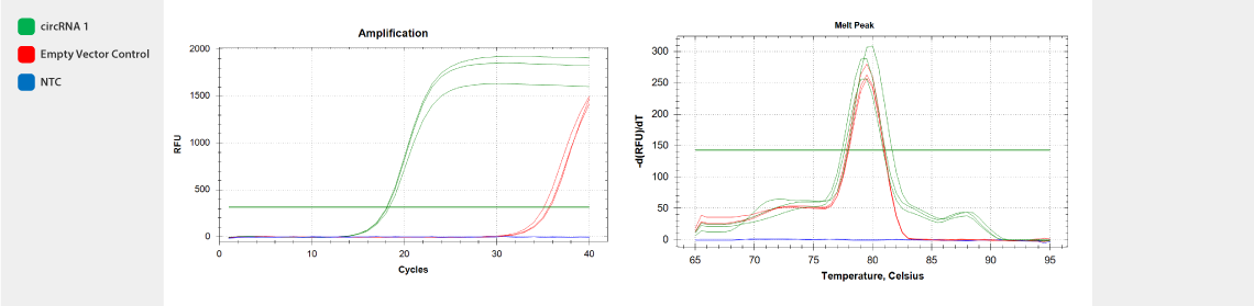 circRNA_1_graph