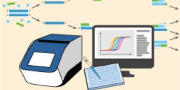 Introduction to CRISPR