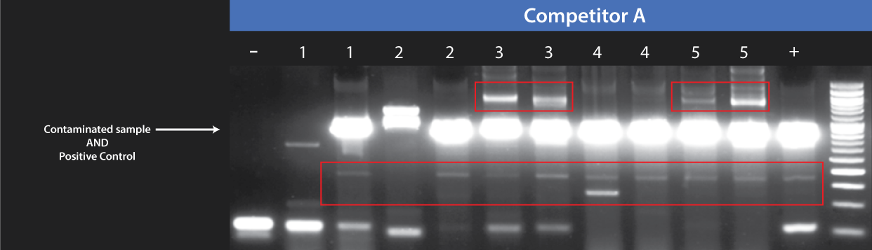 Mycoplasma PCR Data Competitor A