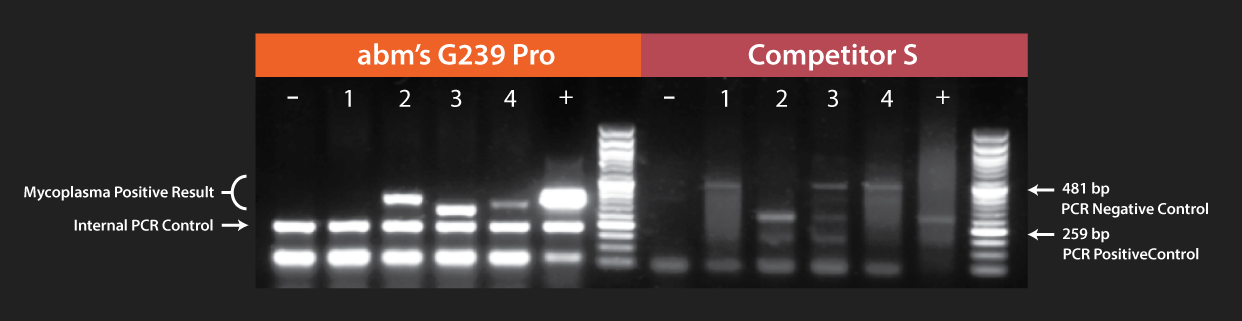 Mycoplasma PCR Data Competitor S