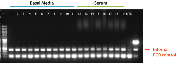 Mycoplasma Pro Data