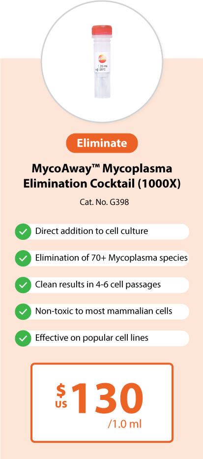 Mycoplasma Pro Section 3