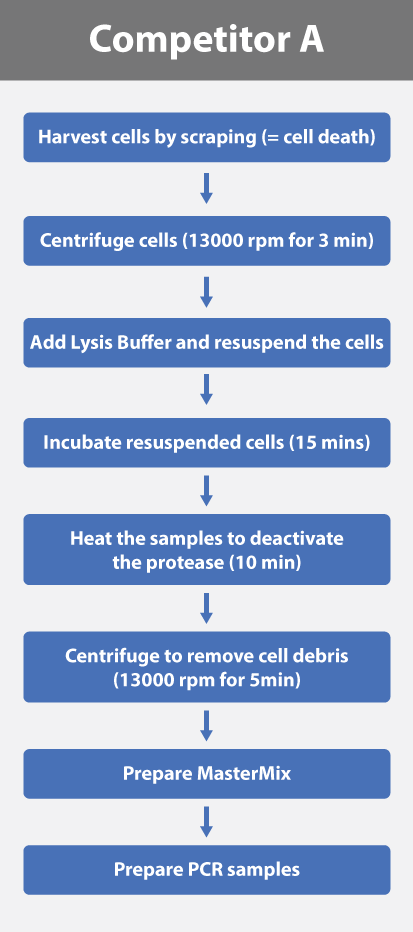 Mycoplasma Pro workflow 2