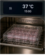 Gelation step image