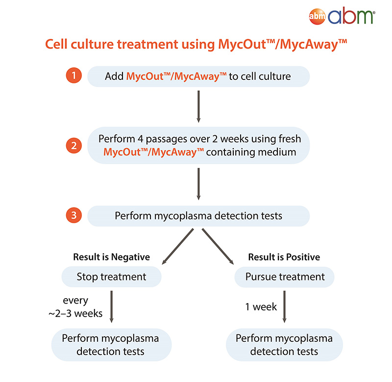 Cell culture treatment with MycOut and MycAway