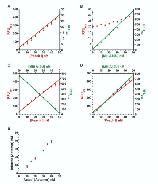 TO1 and TO3 dyes can be used in a 2-color reporter assay system using both the RNA Mango and RNA Peach systems