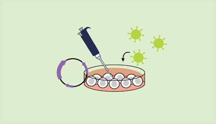 CRISPR Methods and Tools